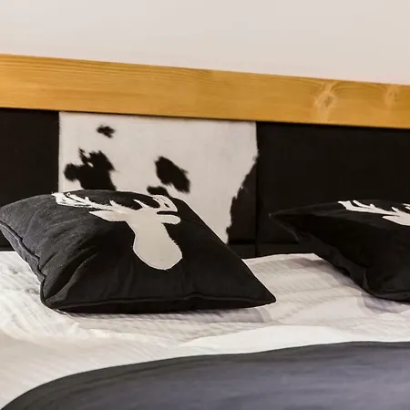 Apartmán Czarny Staw Zakopane